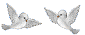 tome5.gif (4063 bytes)